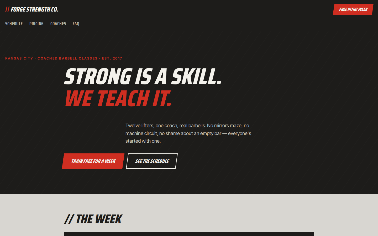 Screenshot of Forge Strength Co. website demo