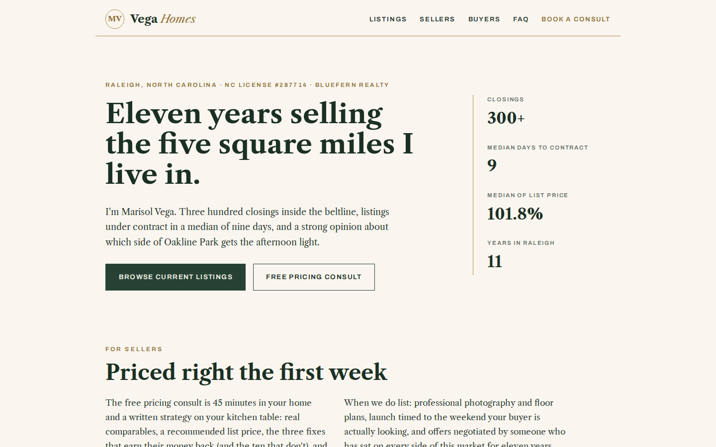 Screenshot of Vega Homes website demo