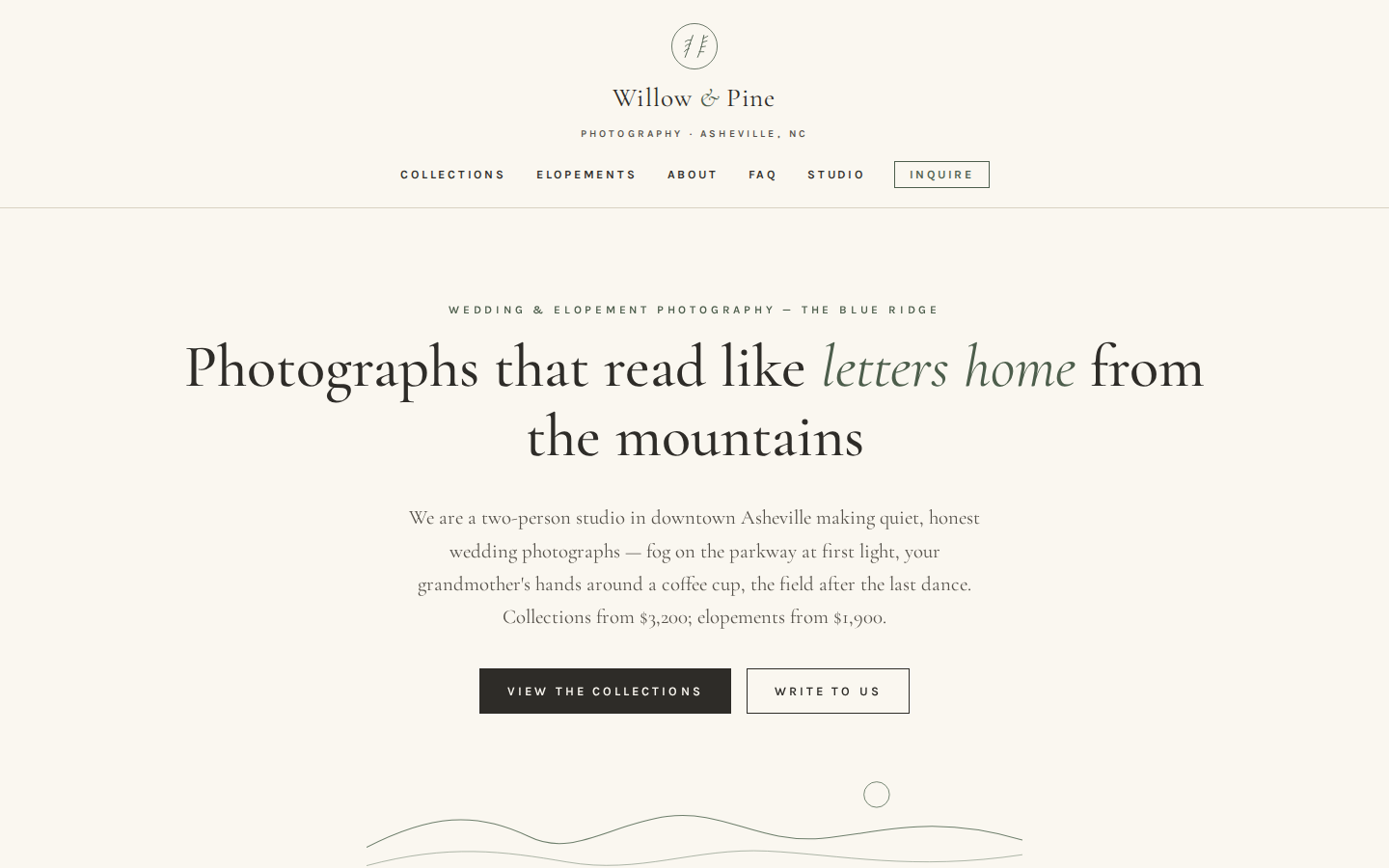 Screenshot of Willow & Pine Photography website demo