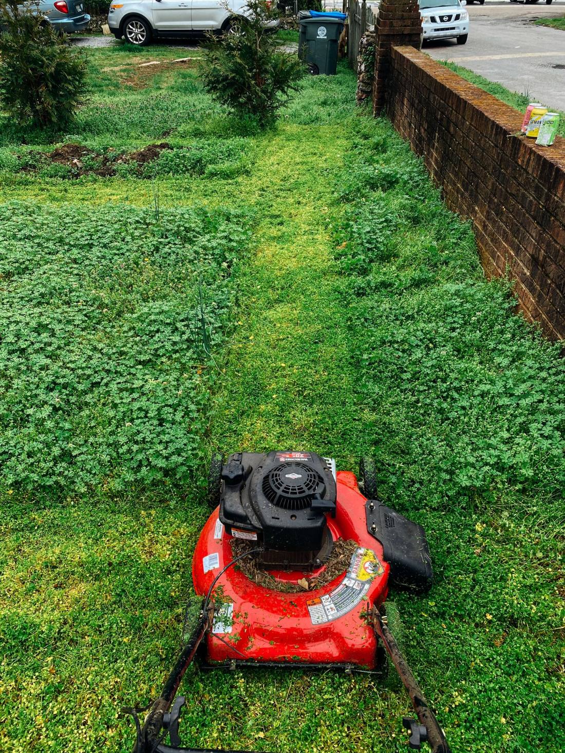 A push mower cutting the first path through a heavily overgrown side yard