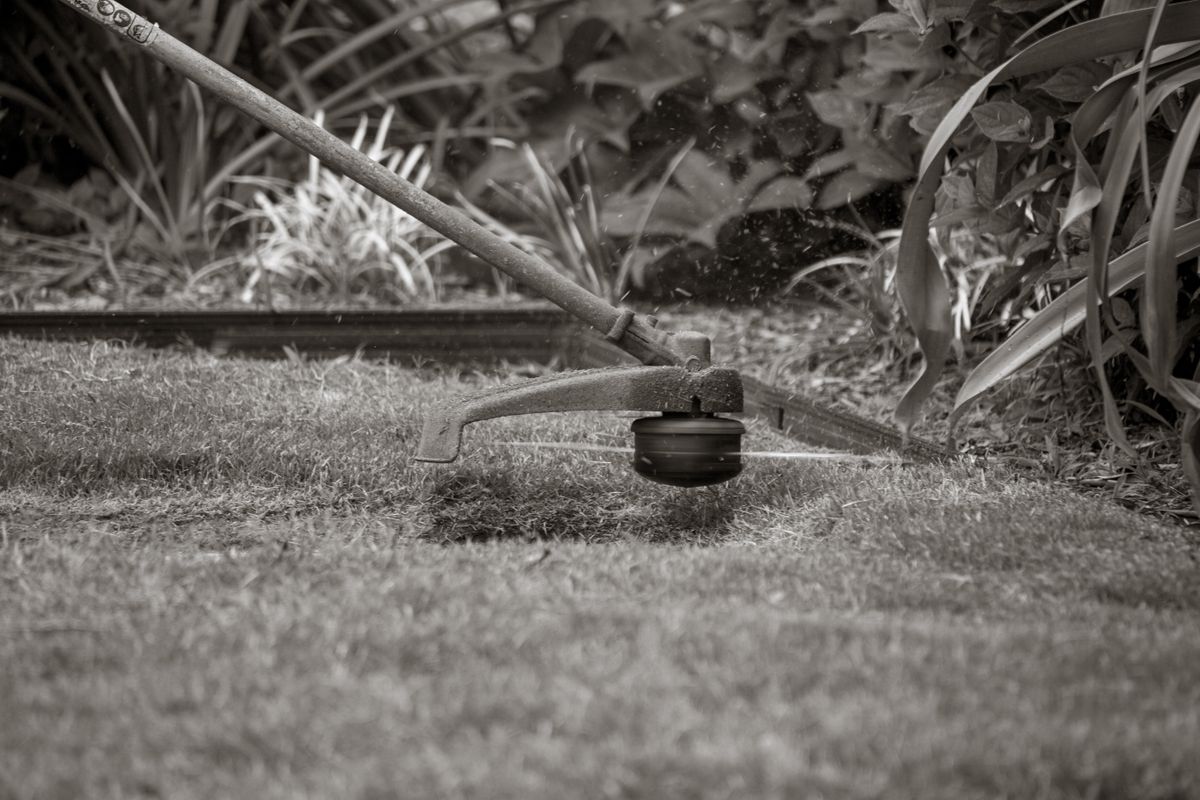 A string trimmer cutting a clean edge along the boundary of a lawn