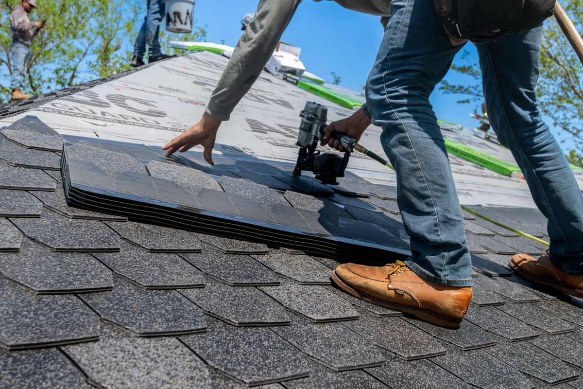 A roofer setting a course of architectural shingles with a nail gun on a steep pitch